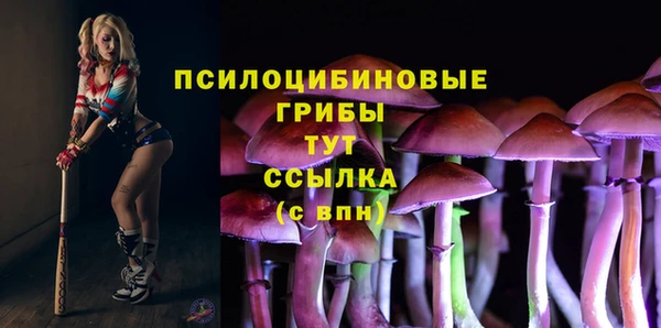 индика Новокубанск