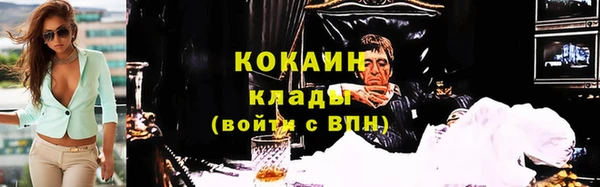 бошки Новодвинск
