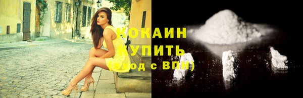 бошки Новодвинск