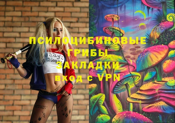 молекула духа Новозыбков