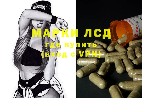 прущие грибы Белая Холуница