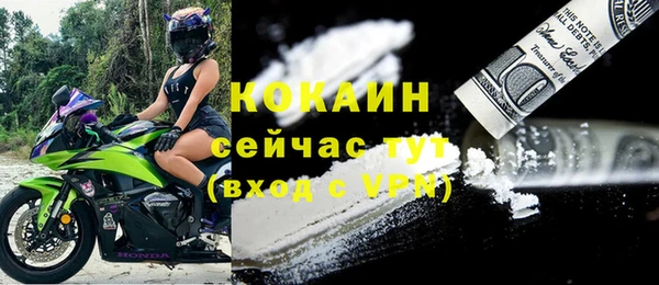 бошки Новодвинск