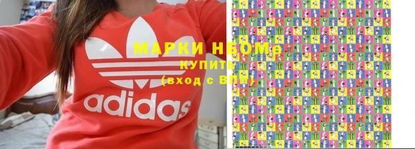 индика Новокубанск