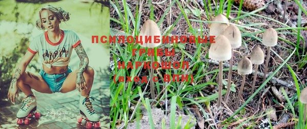 индика Новокубанск