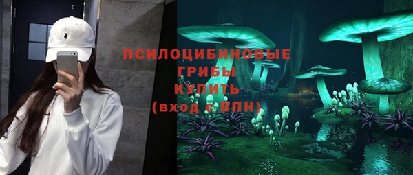 хмурый Нягань