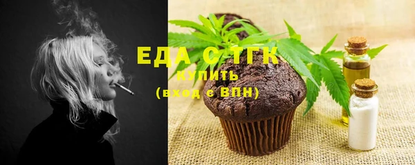 индика Новокубанск