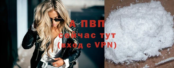 индика Новокубанск