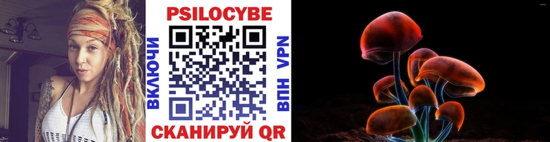 ссылка на мегу ТОР  закладки  Кондопога  Псилоцибиновые грибы Psilocybe 