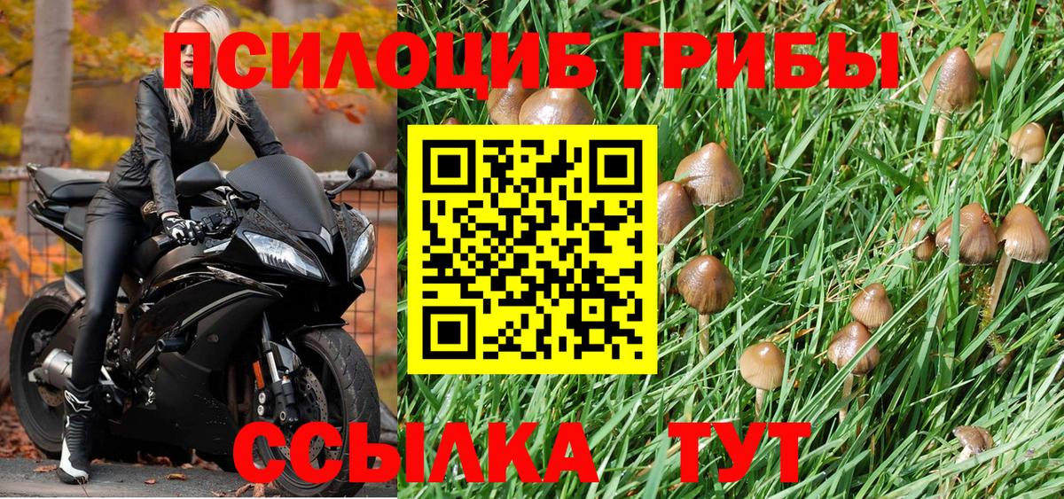 Галлюциногенные грибы прущие грибы Кондопога