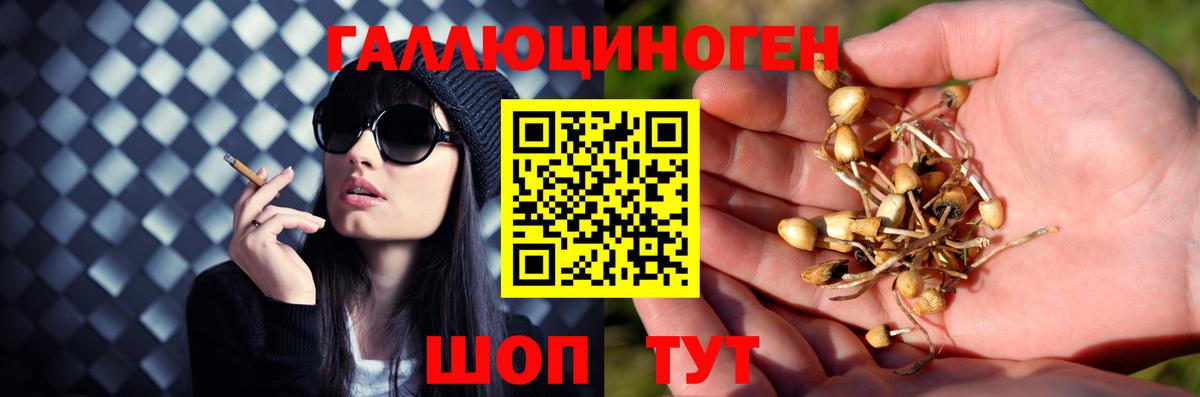 Кондопога  Псилоцибиновые грибы прущие грибы  наркошоп  Вход с VPN 